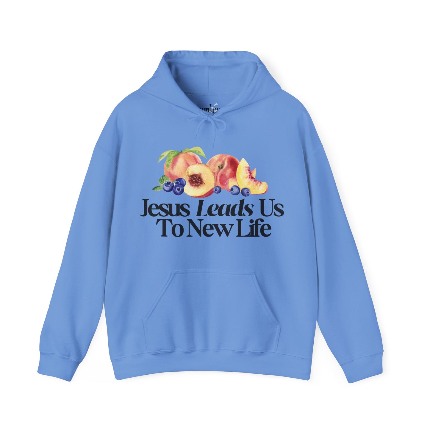 JESUS LEADS US TO NEW LIFE Unisex Heavy Blend Hoodie