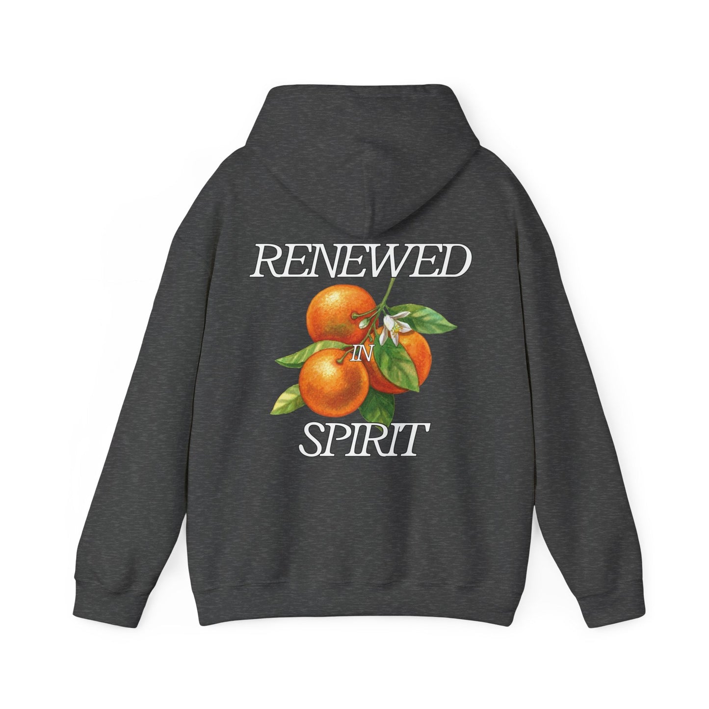 JESUS LEADS US TO NEW LIFE Unisex Heavy Blend Hoodie - Faith, Can Apparel