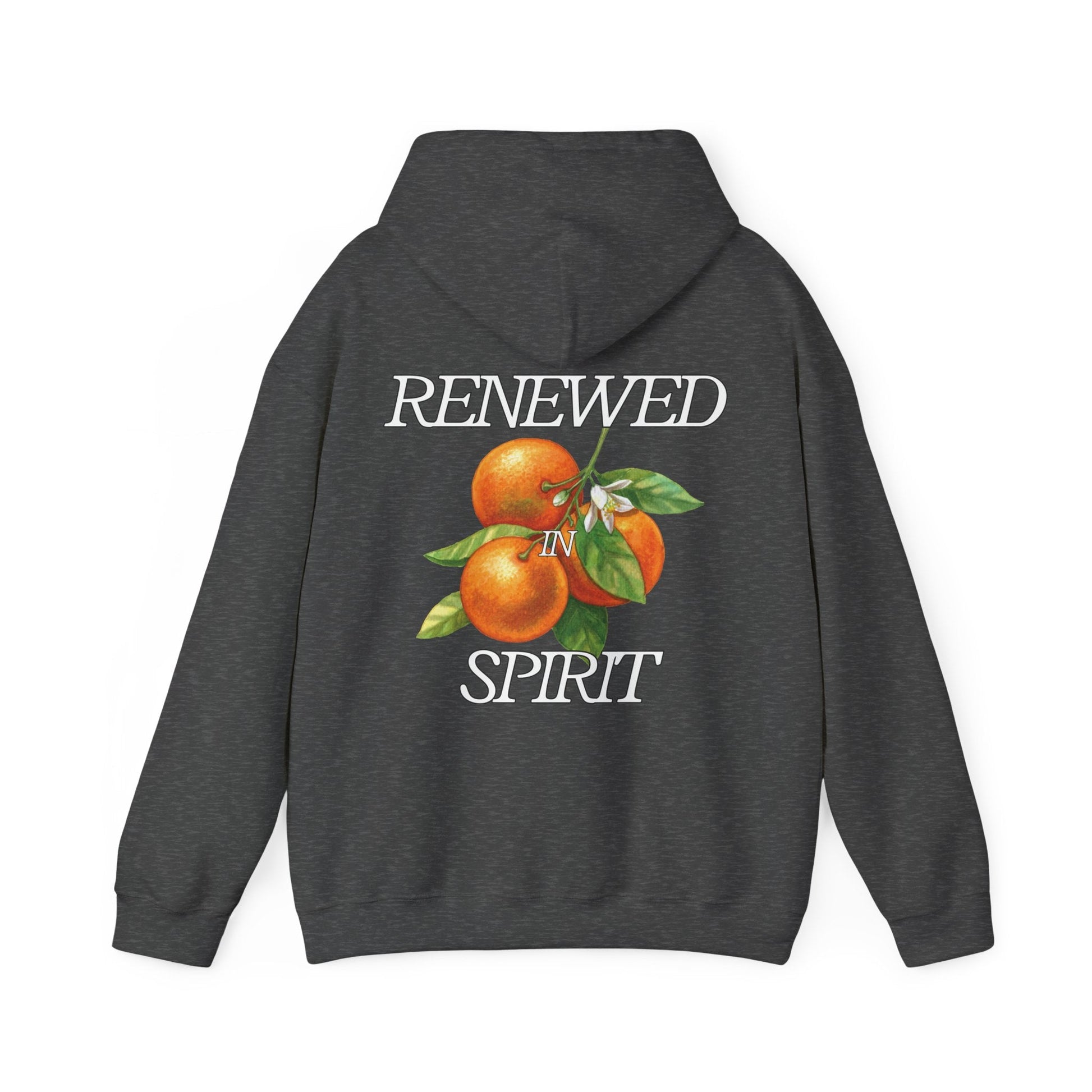 JESUS LEADS US TO NEW LIFE Unisex Heavy Blend Hoodie - Faith, Can Apparel