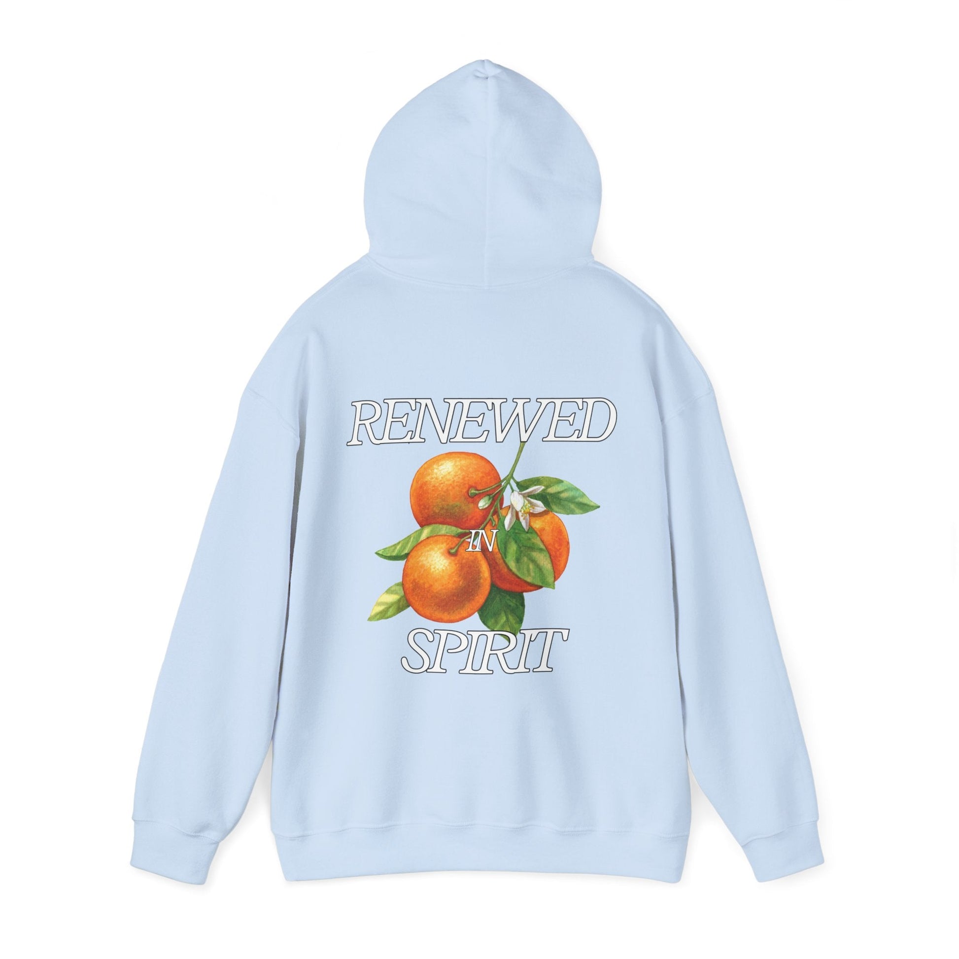 JESUS LEADS US TO NEW LIFE Unisex Heavy Blend Hoodie - Faith, Can Apparel