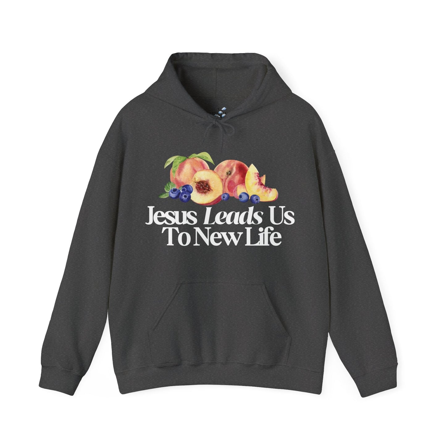 JESUS LEADS US TO NEW LIFE Unisex Heavy Blend Hoodie - Faith, Can Apparel