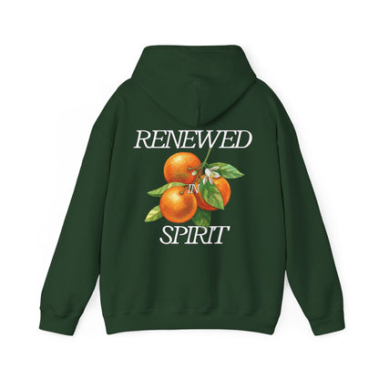 JESUS LEADS US TO NEW LIFE Unisex Heavy Blend Hoodie - Faith, Can Apparel