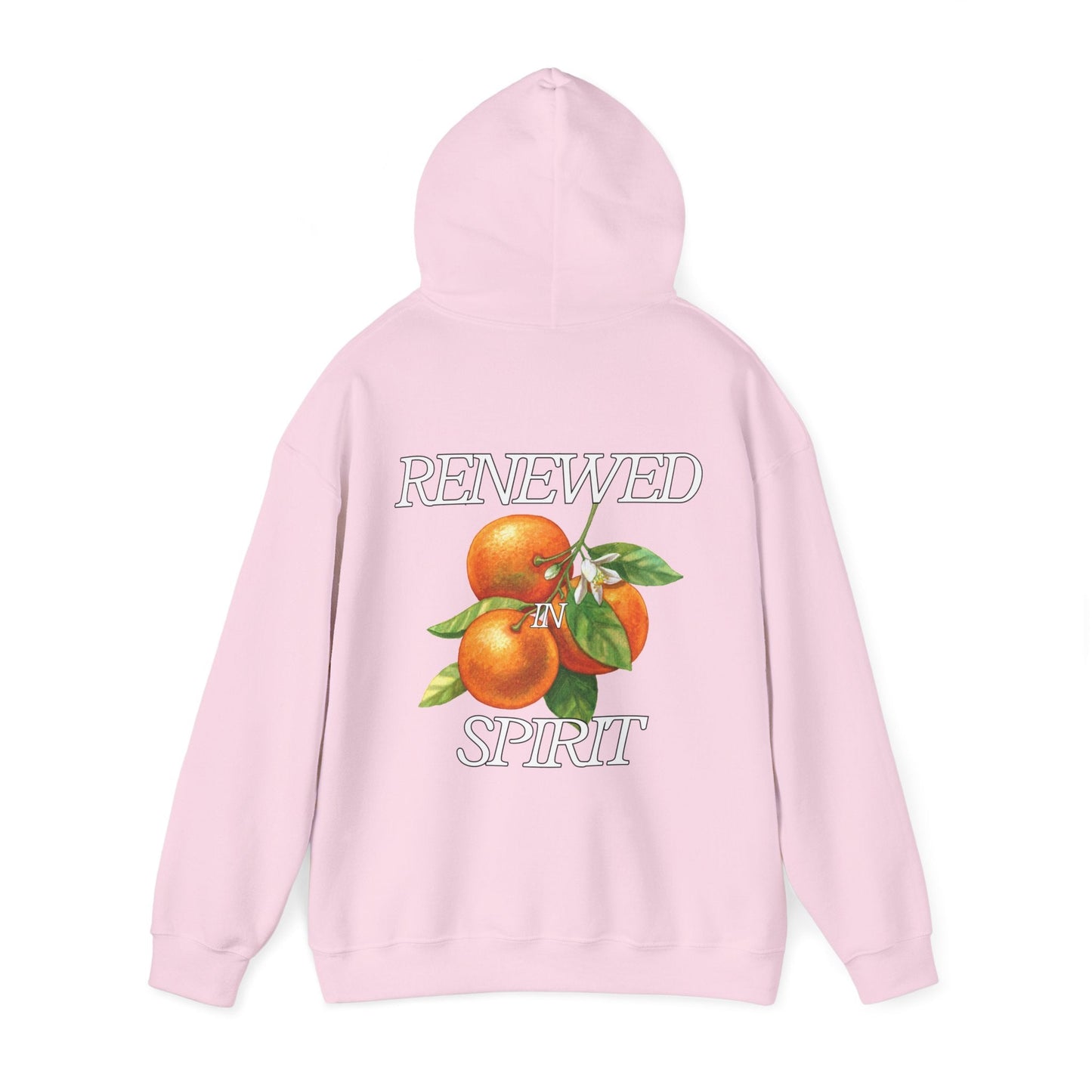 JESUS LEADS US TO NEW LIFE Unisex Heavy Blend Hoodie - Faith, Can Apparel