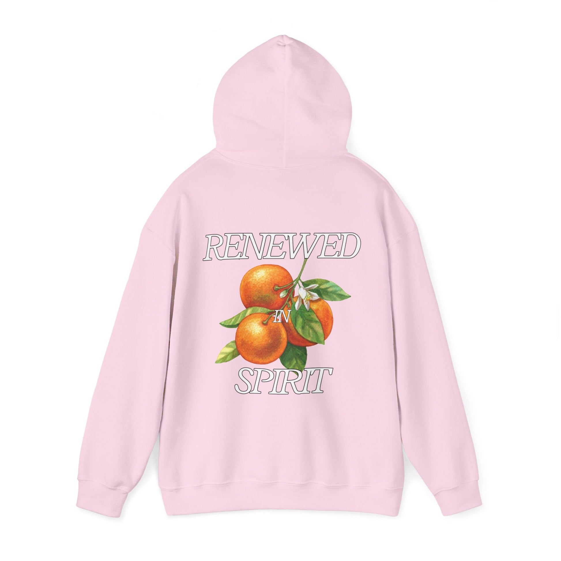 JESUS LEADS US TO NEW LIFE Unisex Heavy Blend Hoodie - Faith, Can Apparel