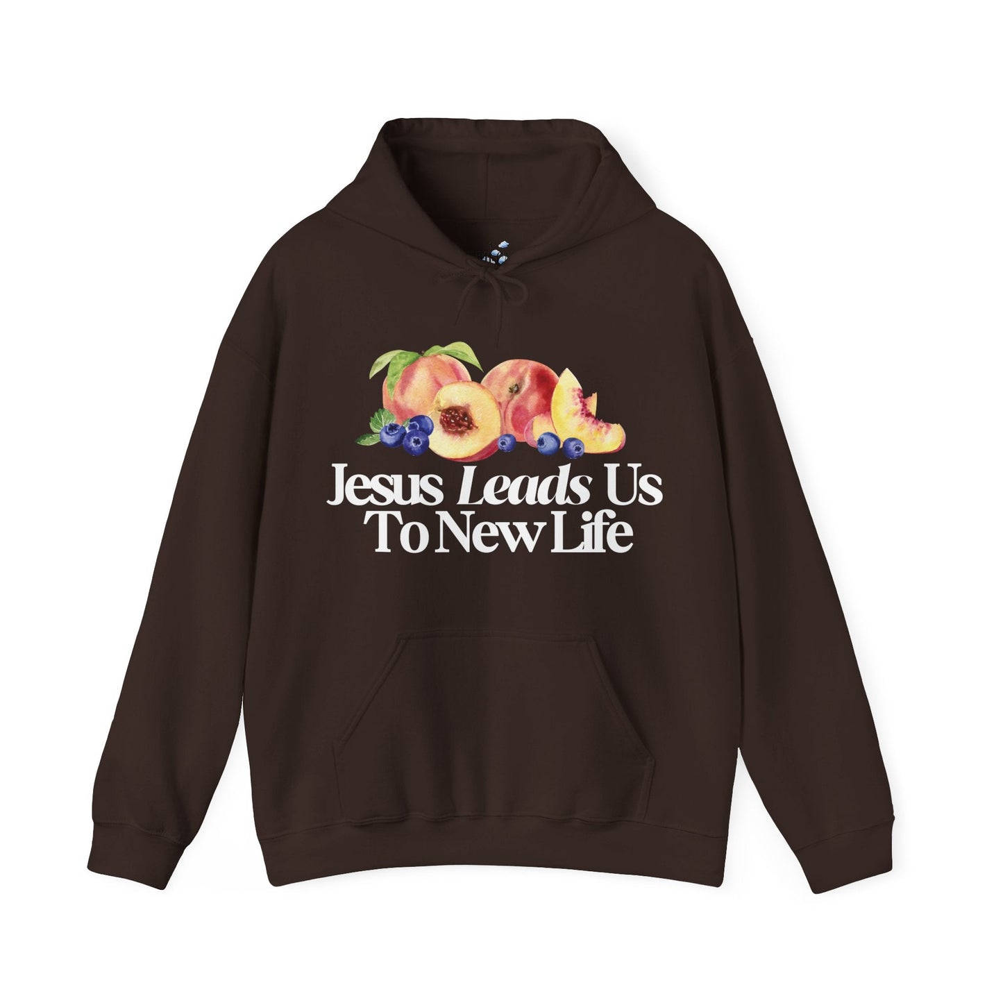 JESUS LEADS US TO NEW LIFE Unisex Heavy Blend Hoodie - Faith, Can Apparel