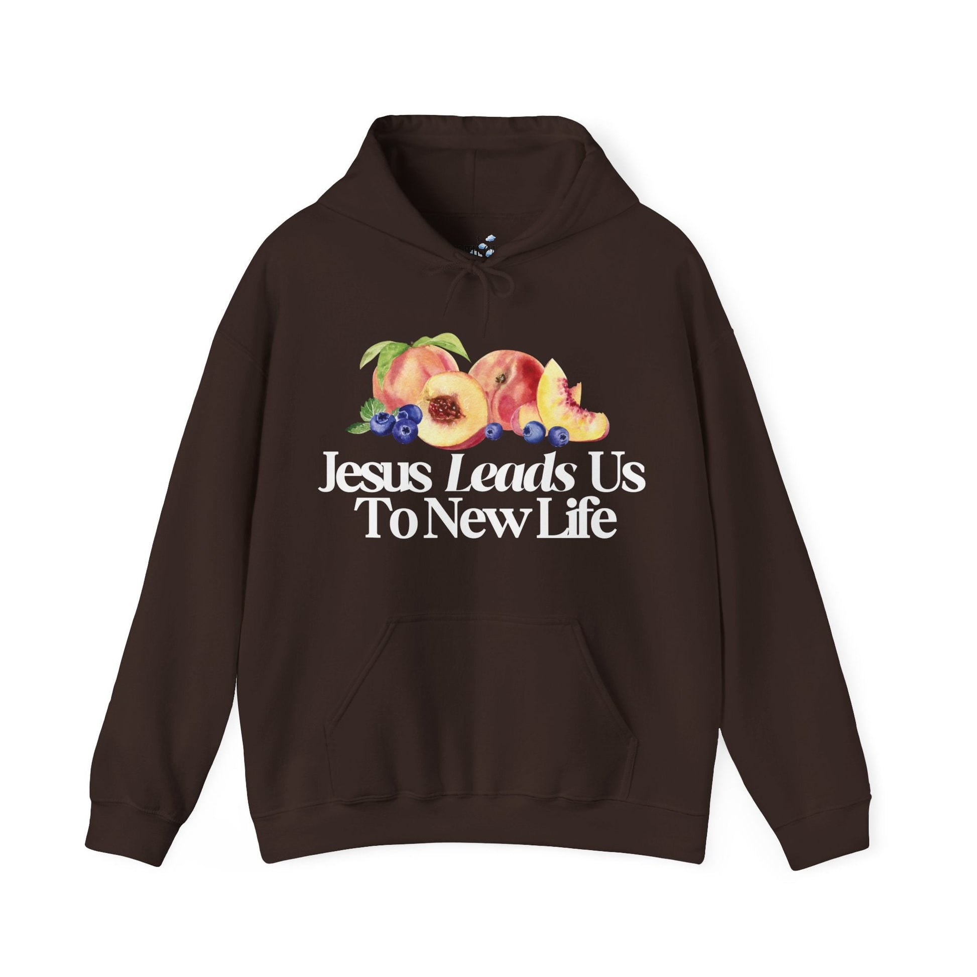 JESUS LEADS US TO NEW LIFE Unisex Heavy Blend Hoodie - Faith, Can Apparel