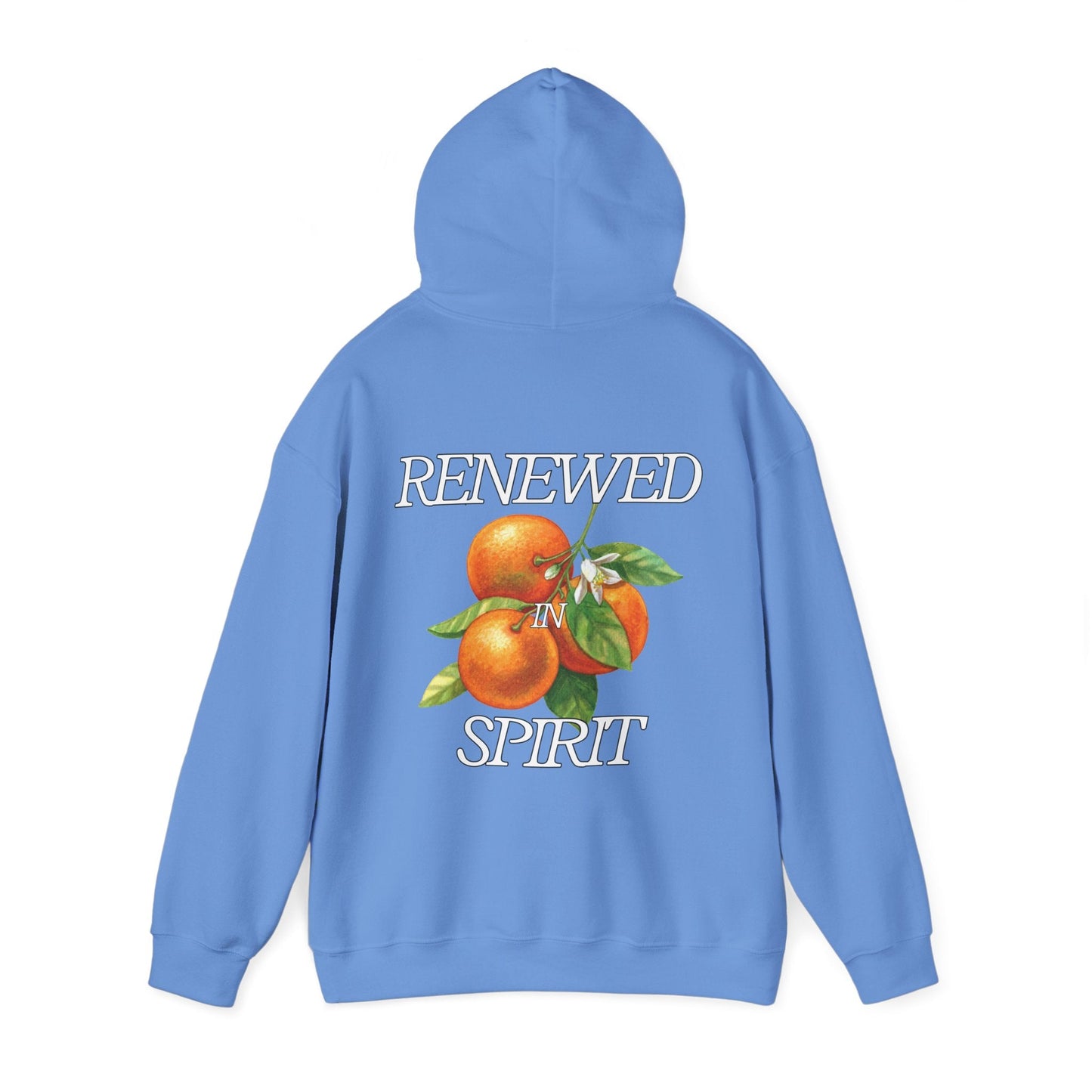 JESUS LEADS US TO NEW LIFE Unisex Heavy Blend Hoodie - Faith, Can Apparel