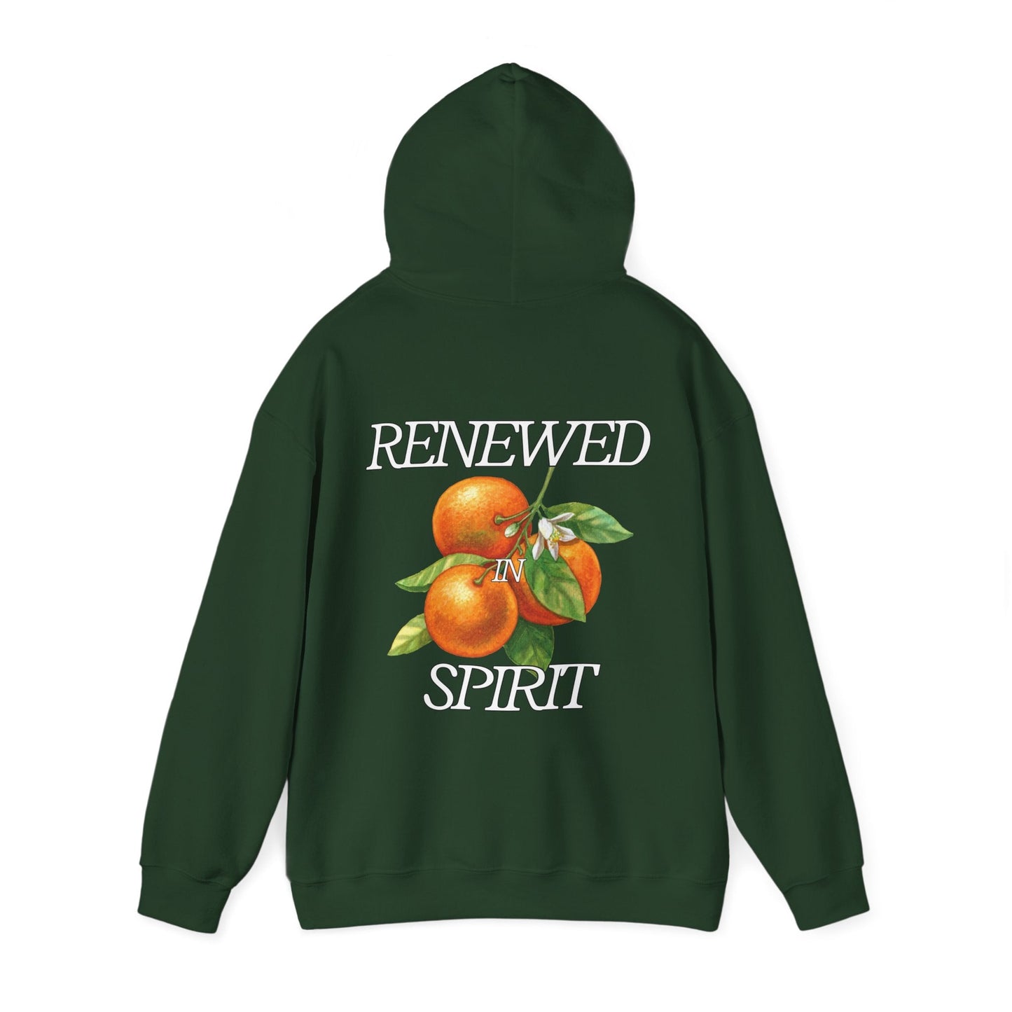 JESUS LEADS US TO NEW LIFE Unisex Heavy Blend Hoodie - Faith, Can Apparel
