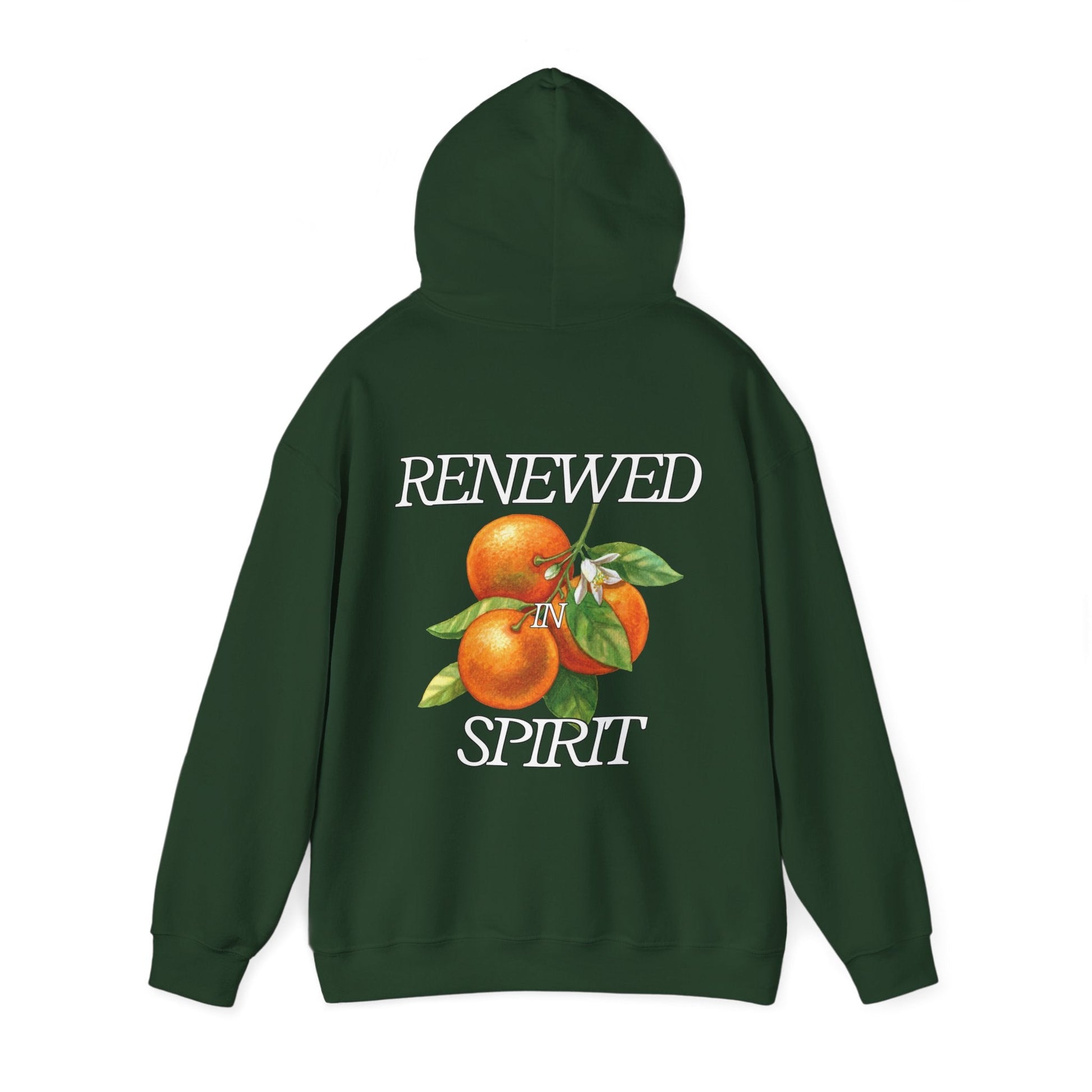 JESUS LEADS US TO NEW LIFE Unisex Heavy Blend Hoodie - Faith, Can Apparel