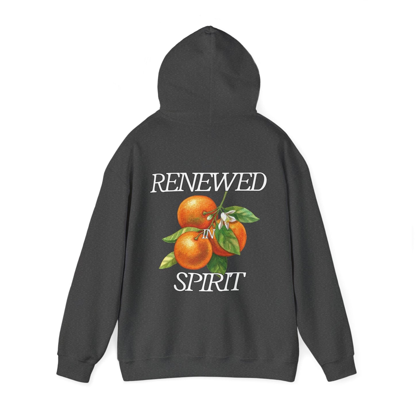 JESUS LEADS US TO NEW LIFE Unisex Heavy Blend Hoodie - Faith, Can Apparel