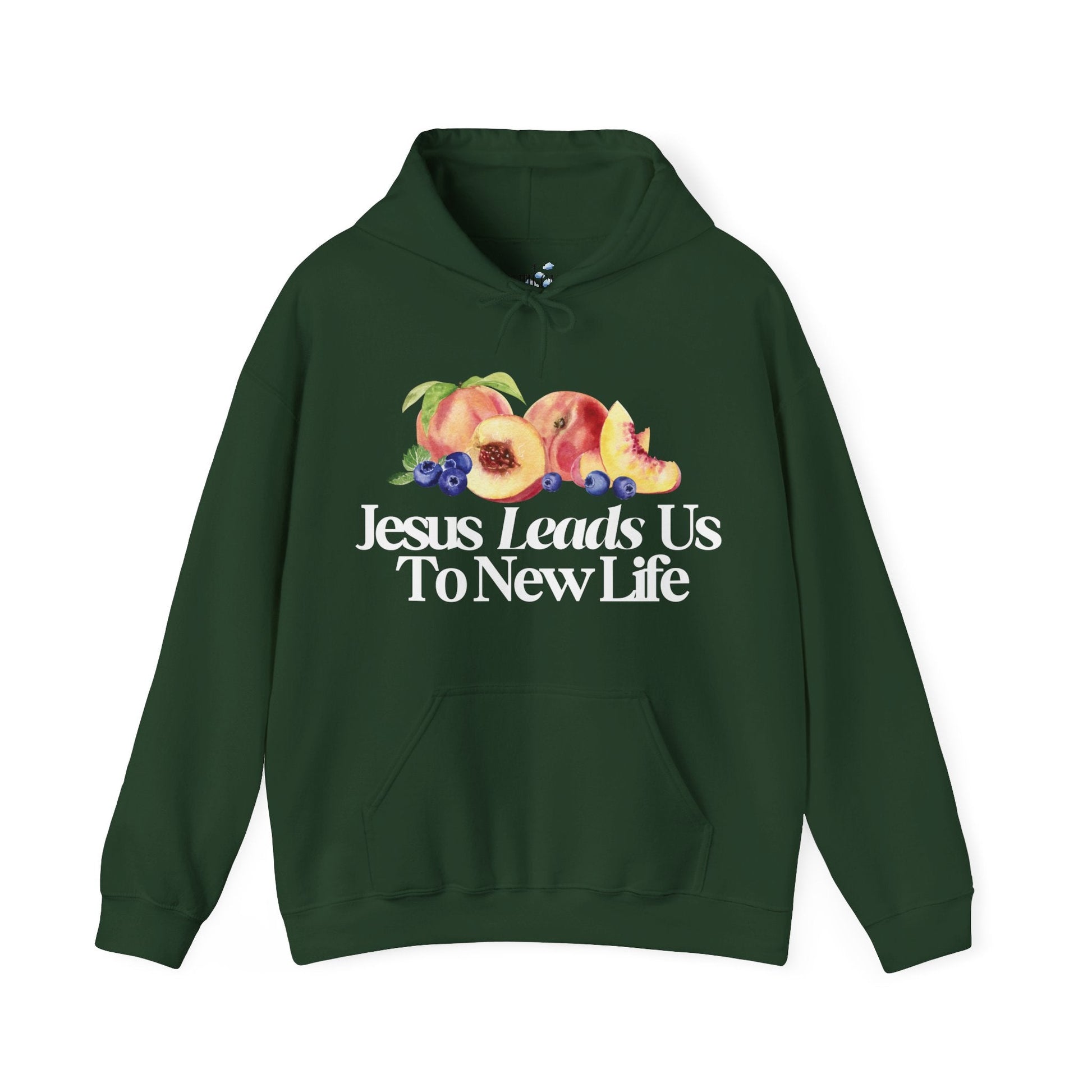 JESUS LEADS US TO NEW LIFE Unisex Heavy Blend Hoodie - Faith, Can Apparel